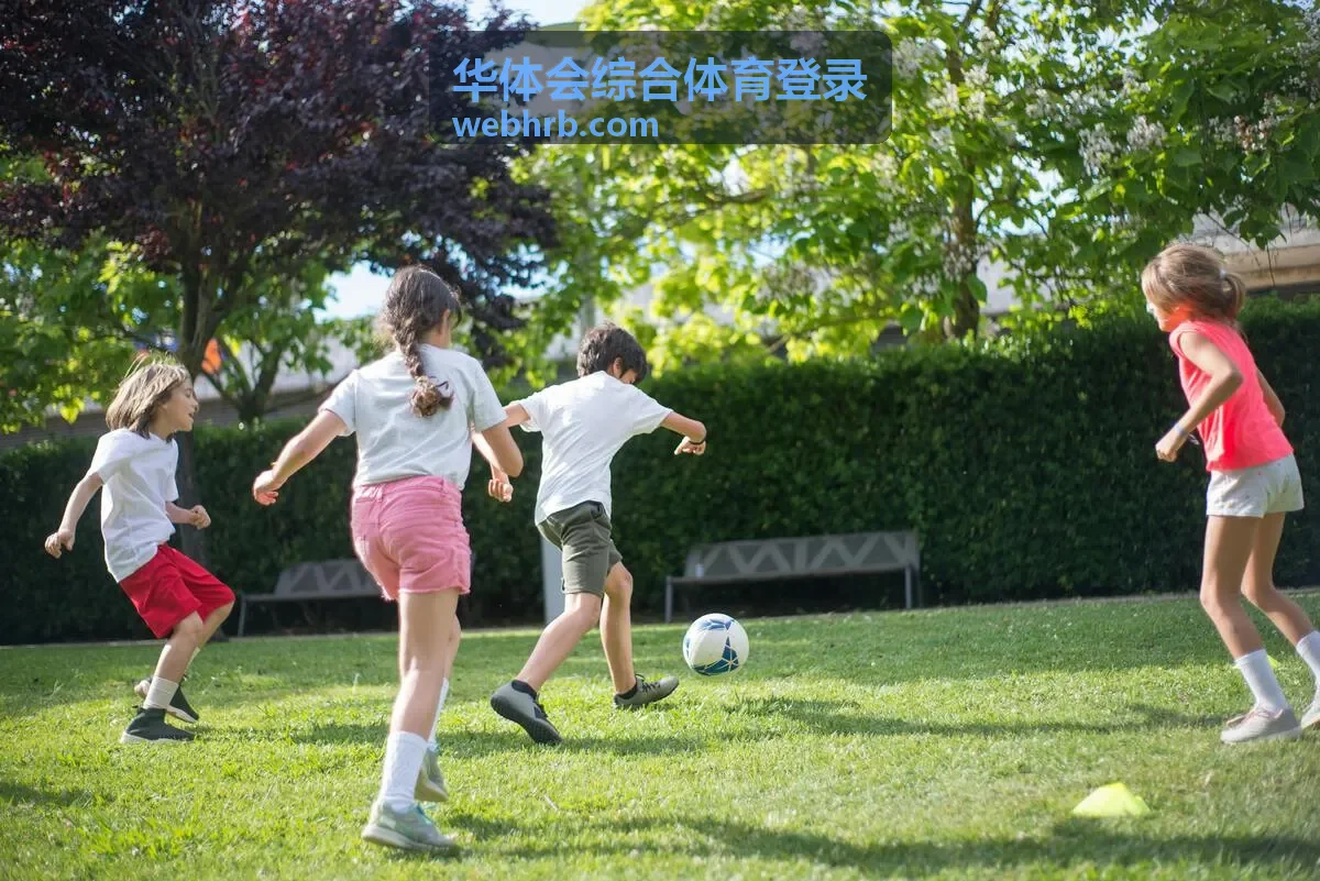 华体会综合体育登录访问环境与网络说明配图