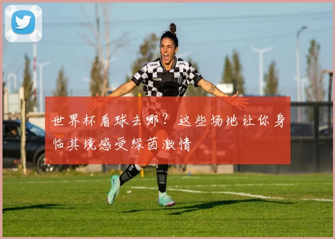 世界杯看球去哪？这些场地让你身临其境感受绿茵激情